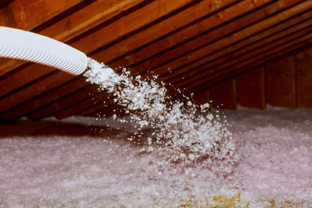 Types of Insulation We Offer in Colfax, WI