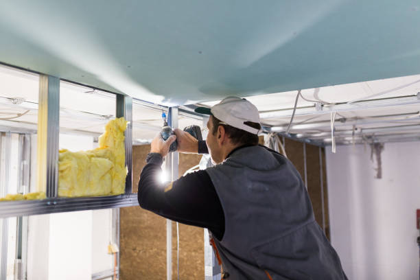 Best Fiberglass Insulation in Colfax, WI