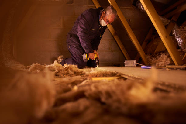 Best Specialized Insulation Services in Colfax, WI